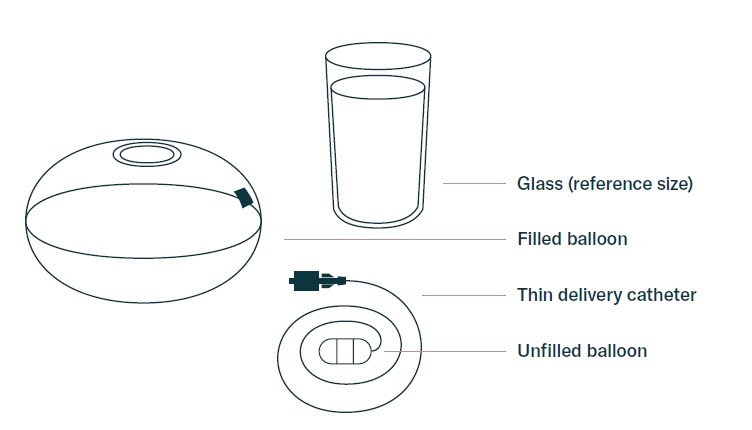 Allurion Balloon Parts